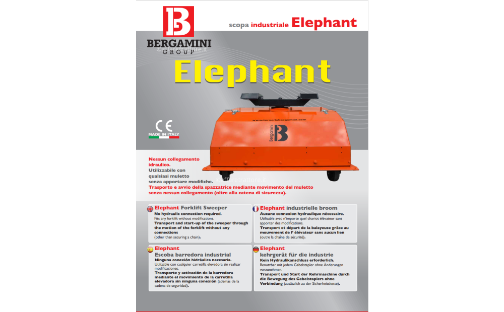 Bergamini Elephant Nuovo - 3
