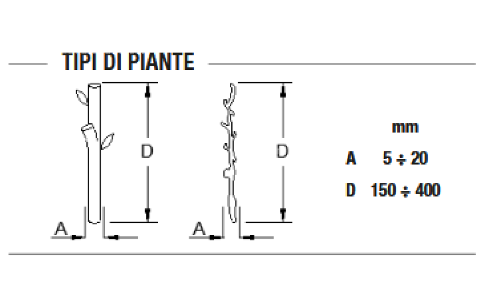 Spapperi TT – PIANTATALEE MECCANICA Nuovo - 2