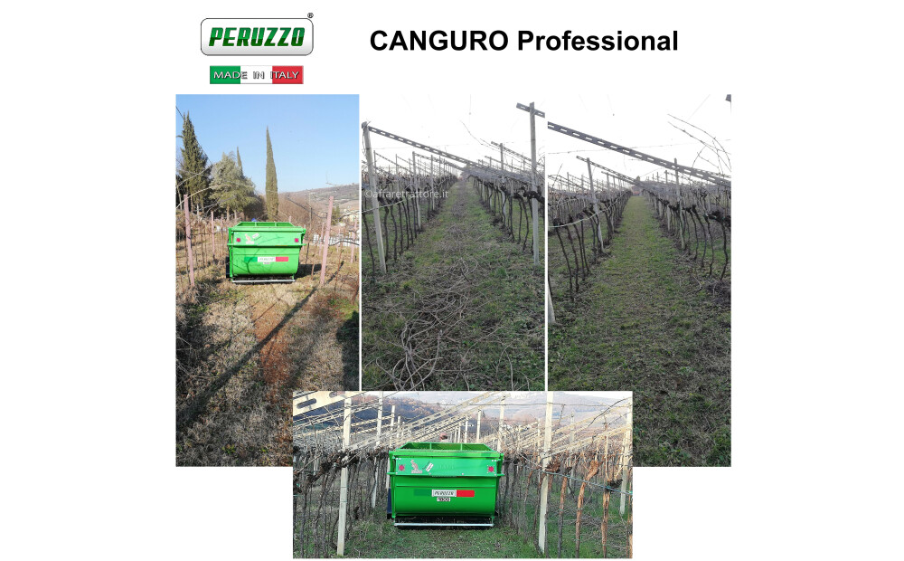 Peruzzo CANGURO PROFESSIONAL / SUPER Nuovo - 14