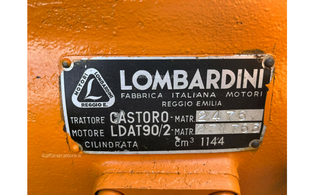 Lombardini Castoro - 9