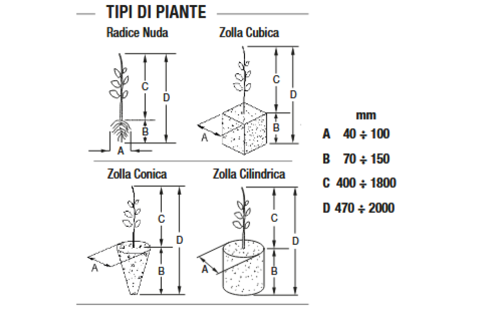 Spapperi TN100 Trapiantatrice per piante arboree di medie/grandi dimensioni Nuovo - 5