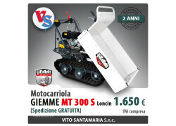 GIEMME  MT 300 S Nuovo