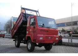 Country   440 4WD Usato
